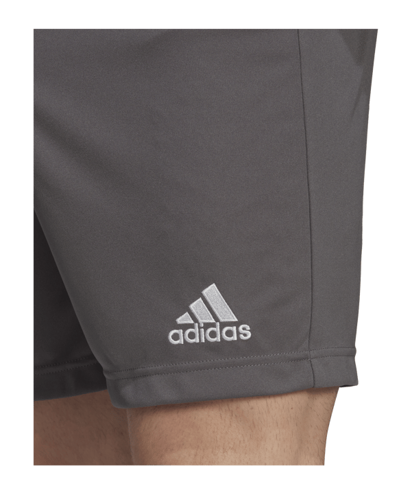 adidas Entrada 22 Short Grau - gruen