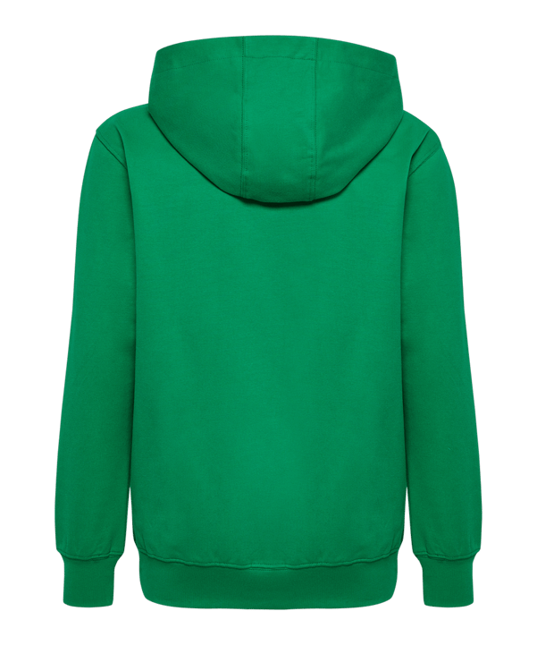 Hummel GO 2.0 Sweat à capuche enfants vert F6235 - vert