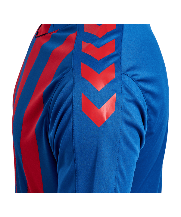 Hummel hmlCore XK Striped Trikot Blau F7358 - blau