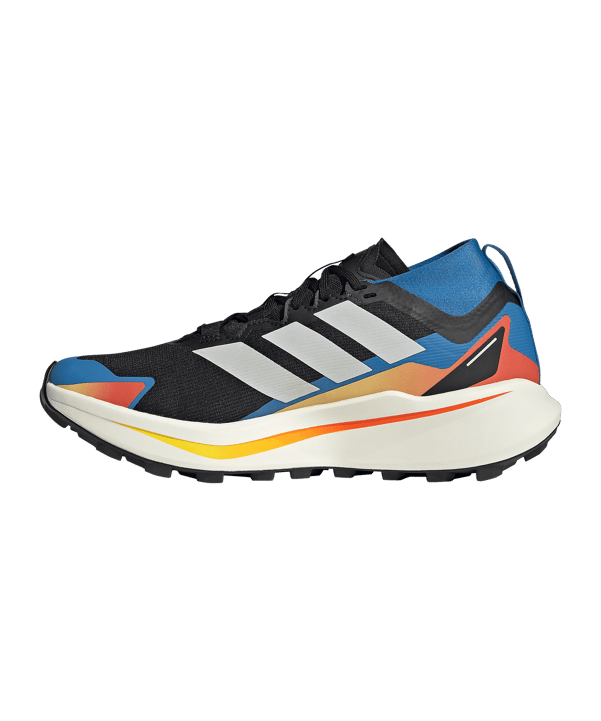 adidas TERREX Agravic GTX Laufschuh Schwarz - schwarz