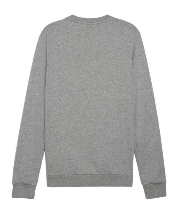 PUMA teamGOAL Casuals Sweatshirt Grau F33 - grau