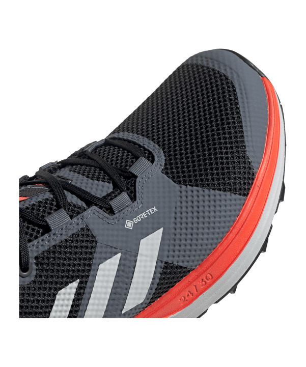 adidas Terrex Two Gore-Tex Running Schwarz - schwarz