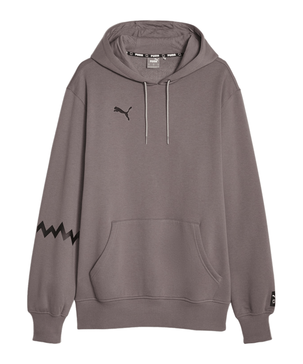 PUMA Hoops Team Hoody Grau F02 - grau