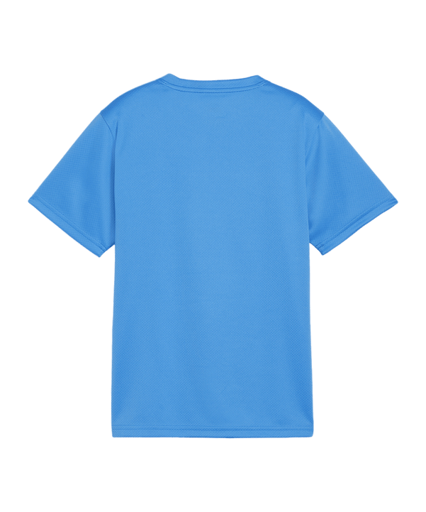 PUMA teamGOAL Trikot Kids Blau F02 - hellblau