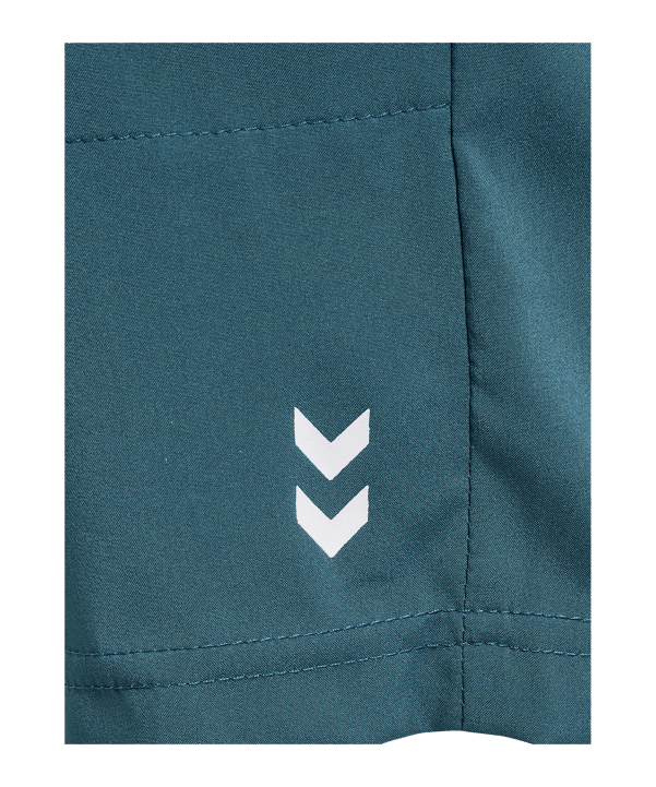 Hummel Pulse Workout Short Blau F7280 - blau