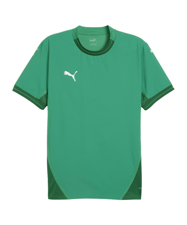 PUMA teamFINAL Trikot Grün Weiss Grün F05 - gruen