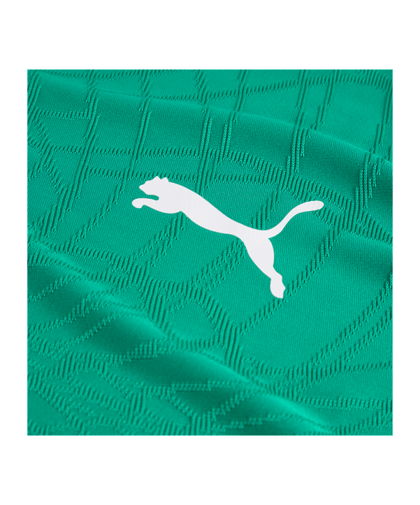 PUMA teamFINAL26 Knit Trikot Grün F05