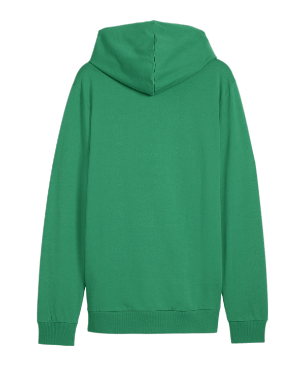 PUMA teamGOAL Casuals Kapuzenjacke Grün F05 - gruen