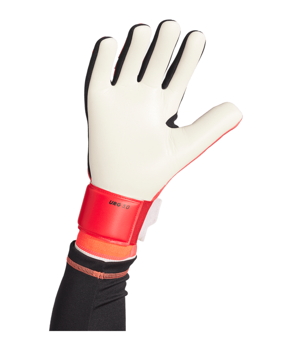 adidas Predator League Pure Victory Torwarthandschuhe Rot - rot