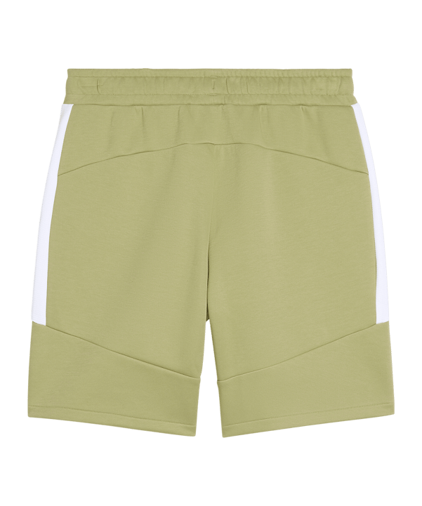 PUMA teamEVOSTRIPE Short Grün F40 - gruen