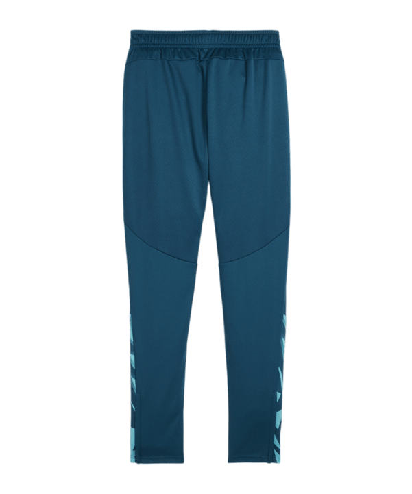 PUMA individualFINAL Trainingshose Grün F56 - gruen