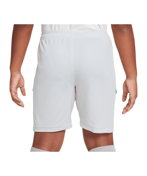 Short Nike Academy Erling Haaland enfants gris F025 - gris