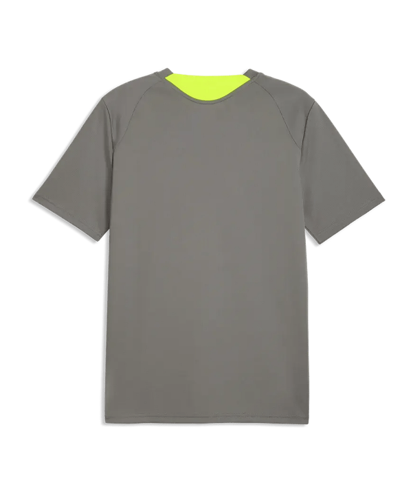 PUMA Borussia Dortmund Training Maglietta Grigio C10 - grigio
