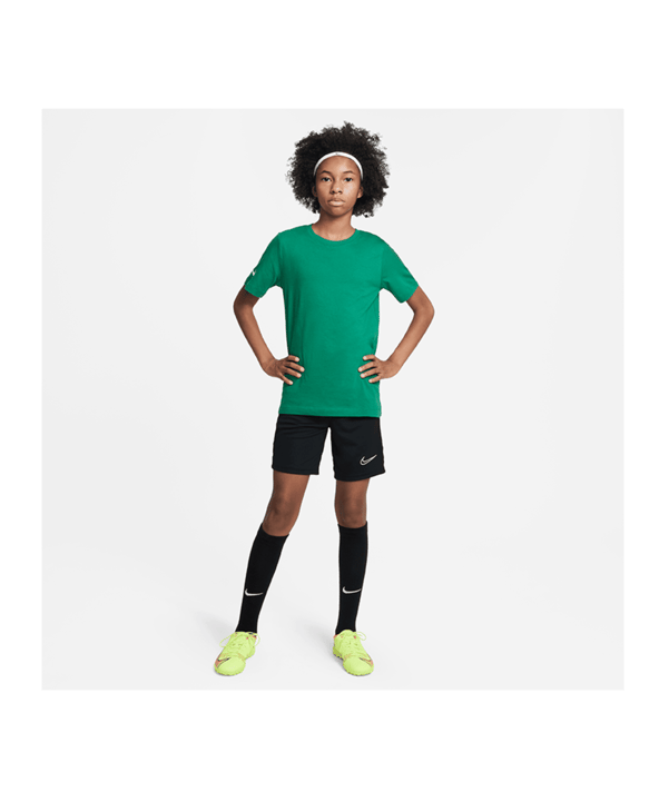 Nike Park 20 T-Shirt Kids Grün Weiss F302 - gruen