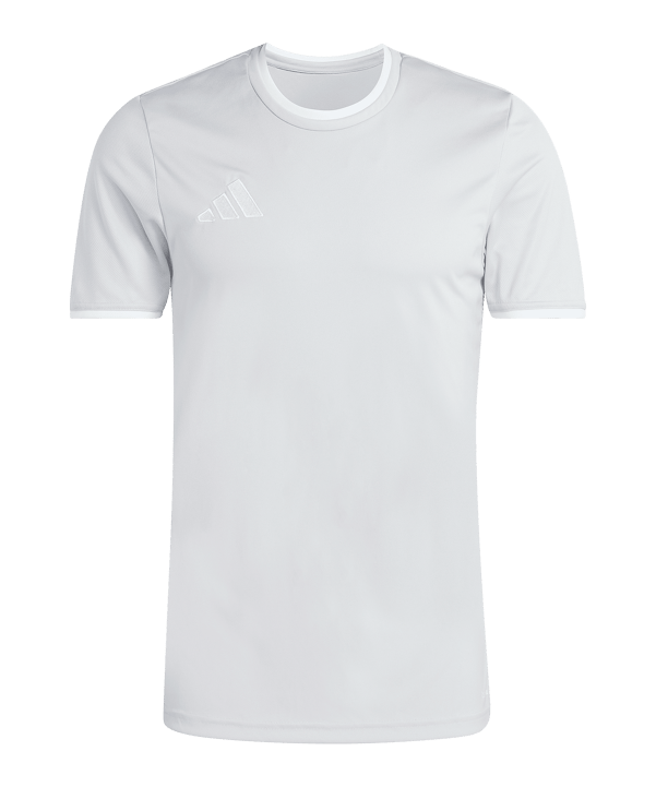 adidas Entrada 26 Trikot Grau - grau