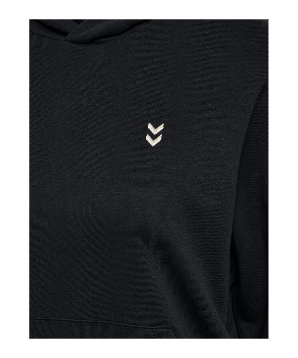 Hummel Pulse Sweat Sweatshirt à capuche Femmes Noir C2001 - noir