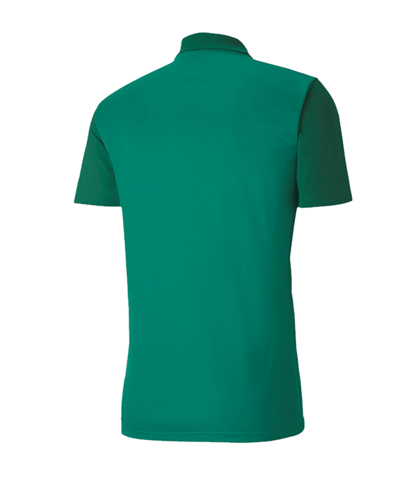 PUMA teamGOAL 23 Sideline Poloshirt Grün F05 - gruen