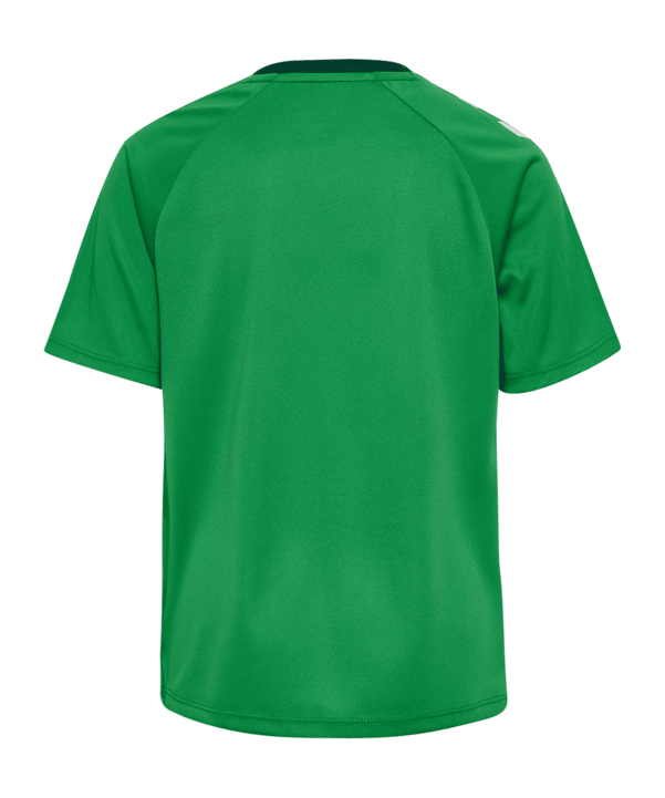 Hummel Match Triumph Trikot Kids Grün F6439 - gruen