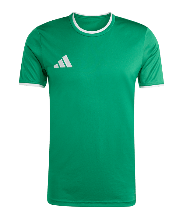 adidas Entrada 26 Trikot Grün - gruen