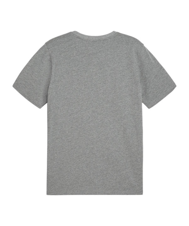 PUMA teamGOAL Casuals T-Shirt Grau F33 - grau