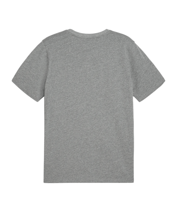 PUMA teamGOAL Casuals T-Shirt Grau F33 - grau