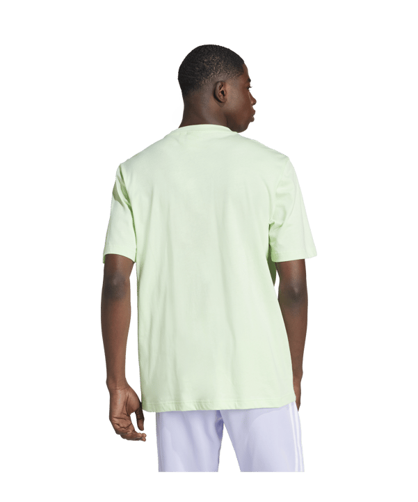 adidas Originals Adicolor Trefoil T-Shirt Grün - gruen