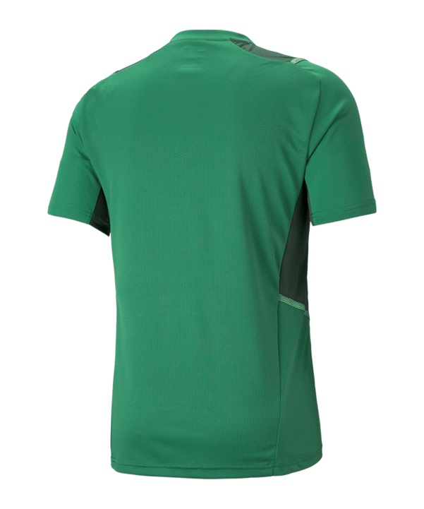 PUMA teamCUP Trikot Grün F05 - gruen