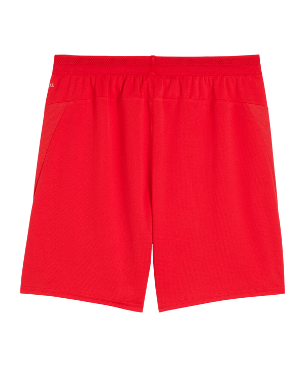 PUMA teamCup Short Rot F01 - rot