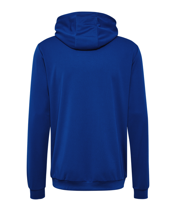 Hummel hmlAUTHENTIC PL Hoody Blau F7045 - blau