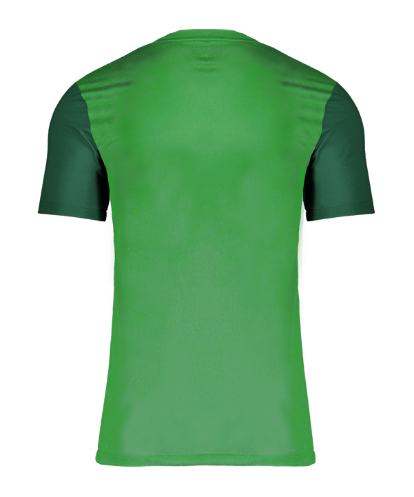 Nike Trophy V Trikot Grün F302 - gruen