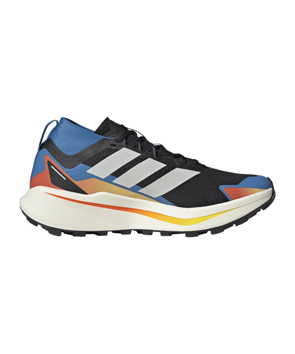 adidas TERREX Agravic GTX Laufschuh Schwarz - schwarz
