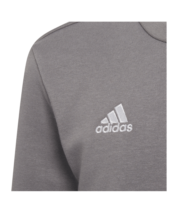 adidas Entrada 22 Sweatshirt Kids Grau - grau