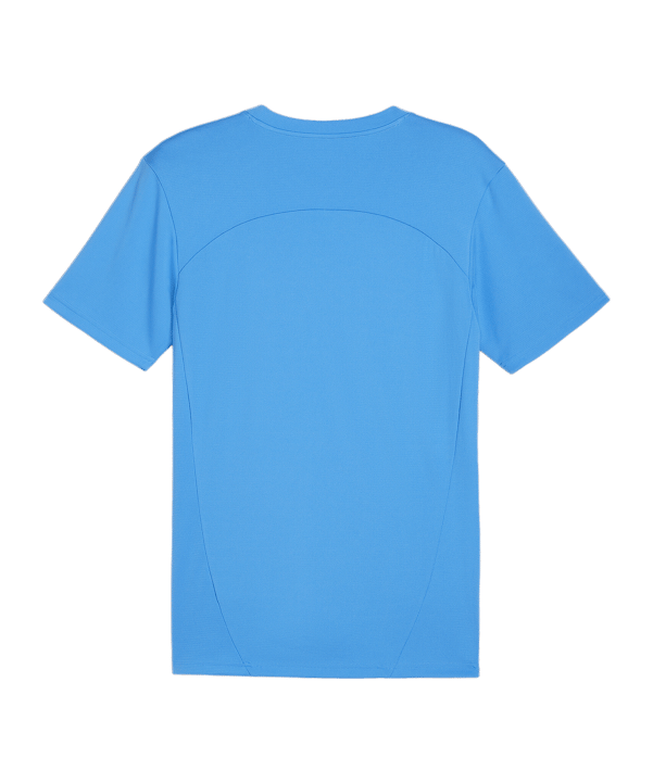PUMA teamFINAL Trikot Blau F02 - blau