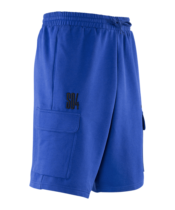 adidas FC Schalke 04 Essentials Short Blau - blau