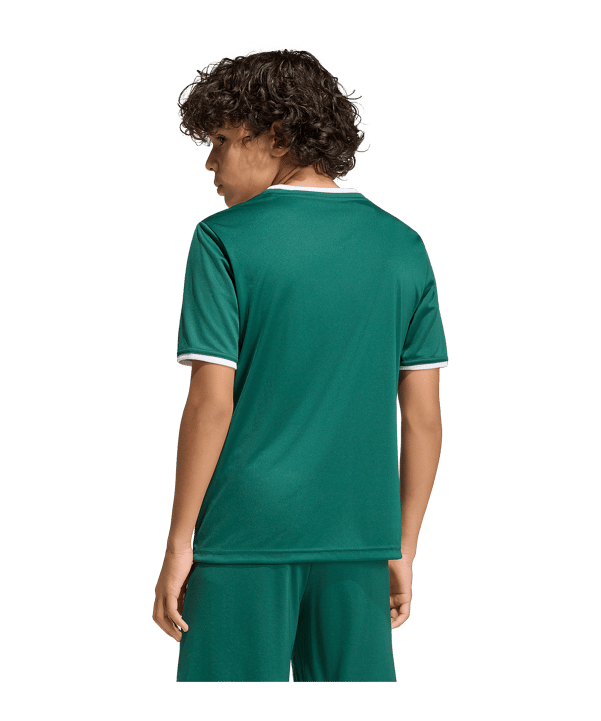 adidas Entrada 26 Trikot Kids Grün - gruen
