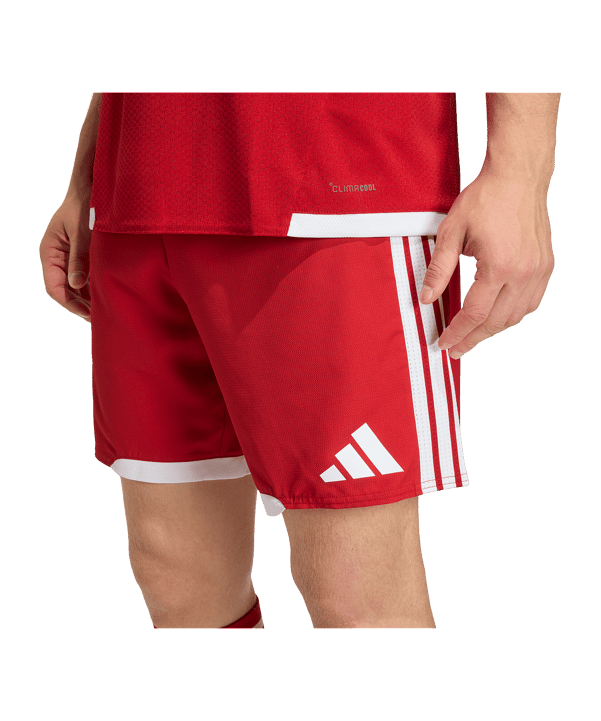 adidas Tiro 26 Short Rot - rot