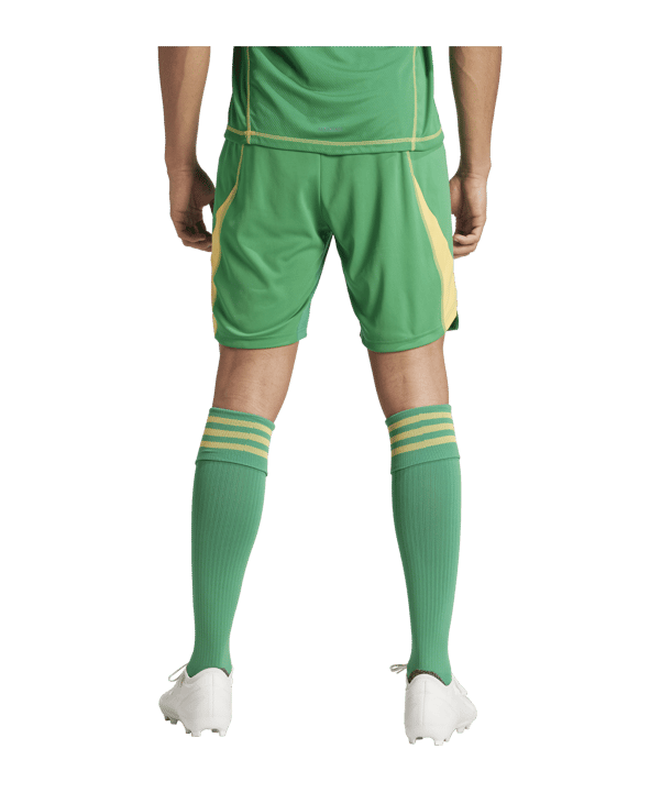 adidas Tiro 24 Pro Torwartshort Grün - gruen