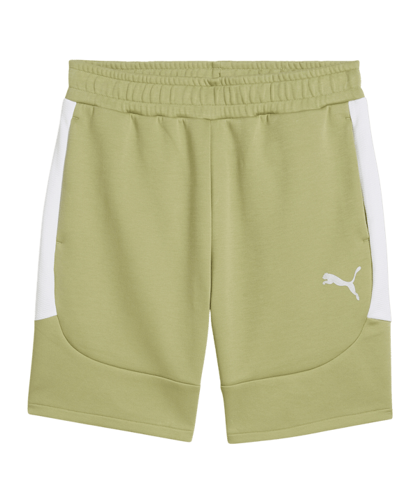 PUMA teamEVOSTRIPE Short Grün F40 - gruen