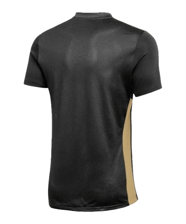 Nike Park Derby IV Trikot Schwarz Gold F011 - schwarz