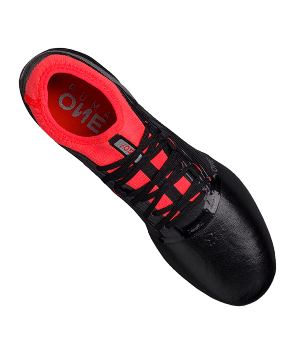 PUMA ONE 18.2 FG Schwarz F01 - schwarz