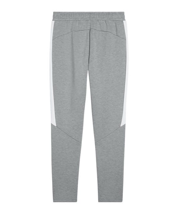PUMA teamEVOSTRIPE Trainingshose Grau F33 - grau