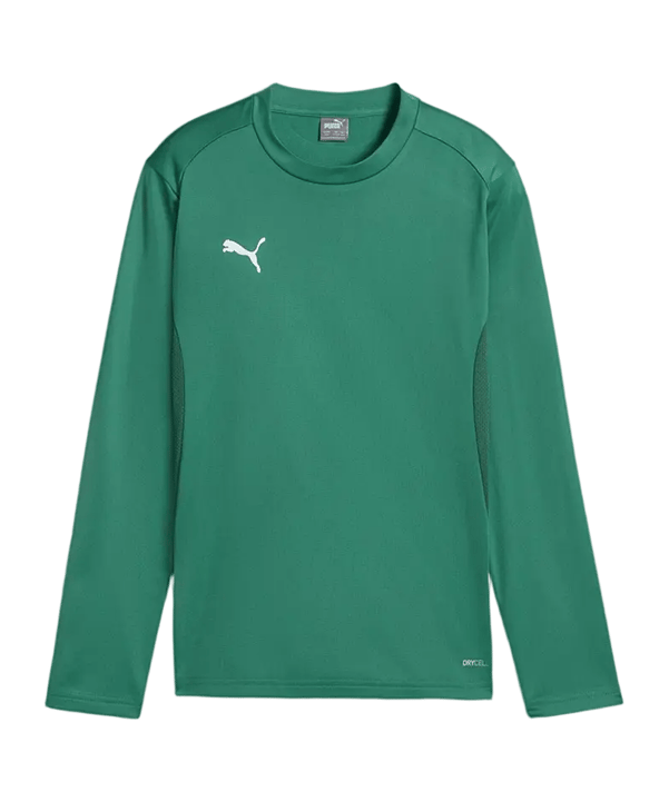 PUMA teamGOAL Training Sweatshirt Kids Grün F05 - gruen