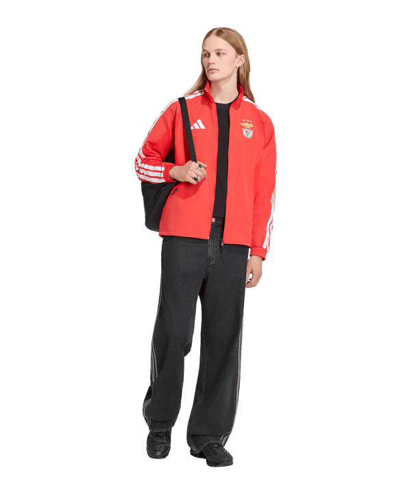 adidas Benfica Lissabon Anthem Jacke Rot - rot