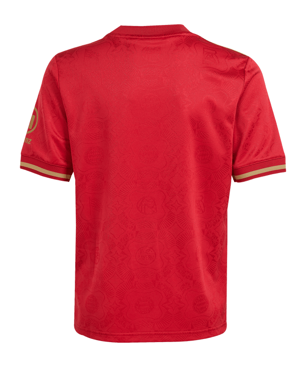 adidas Originals FC Bayern München 125th Anniversary Trikot Kids Rot - rot