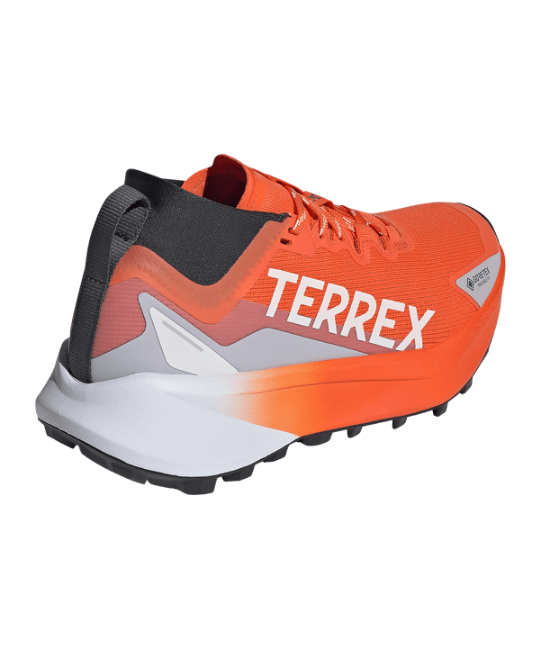 adidas Dames Terrex Agravic GTX Loopschoen Wit - wit