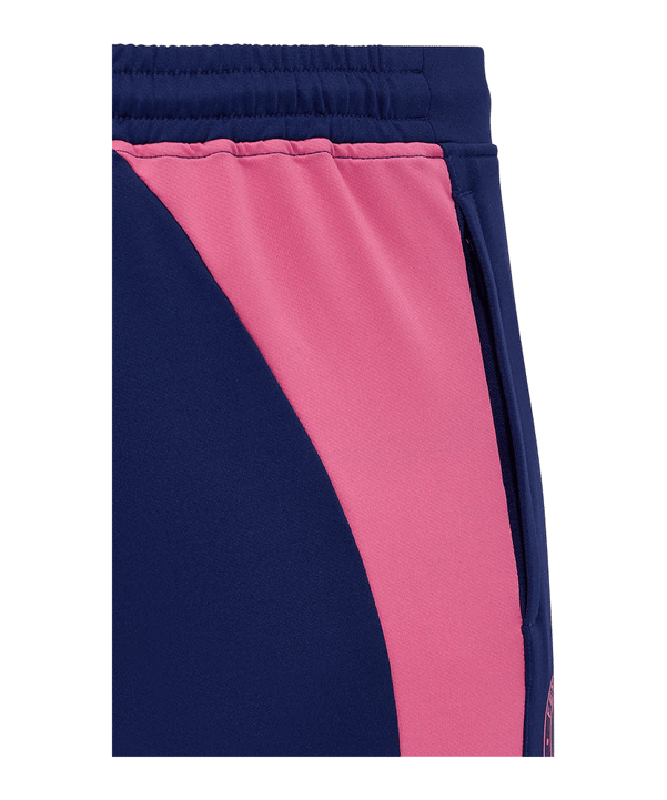 Castore Feyenoord Rotterdam Knit Trainingshose Blau F163 - blau