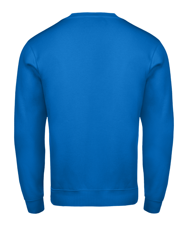 Nike Park 26 Sweatshirt Blau F463 - blau
