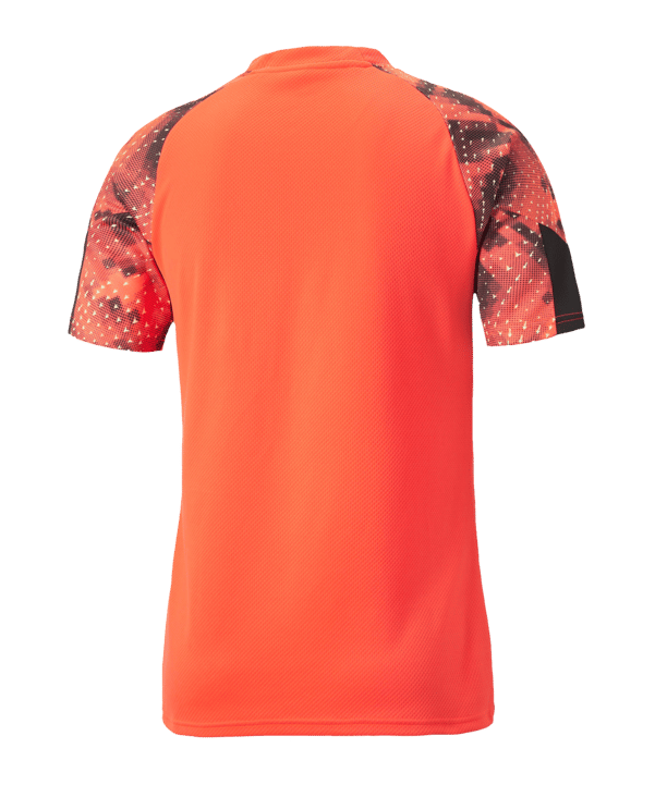 PUMA individualFINAL WC Trikot Blau F48 - blau