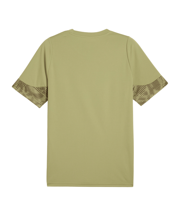 PUMA teamCUP Trikot Grün F40 - gruen