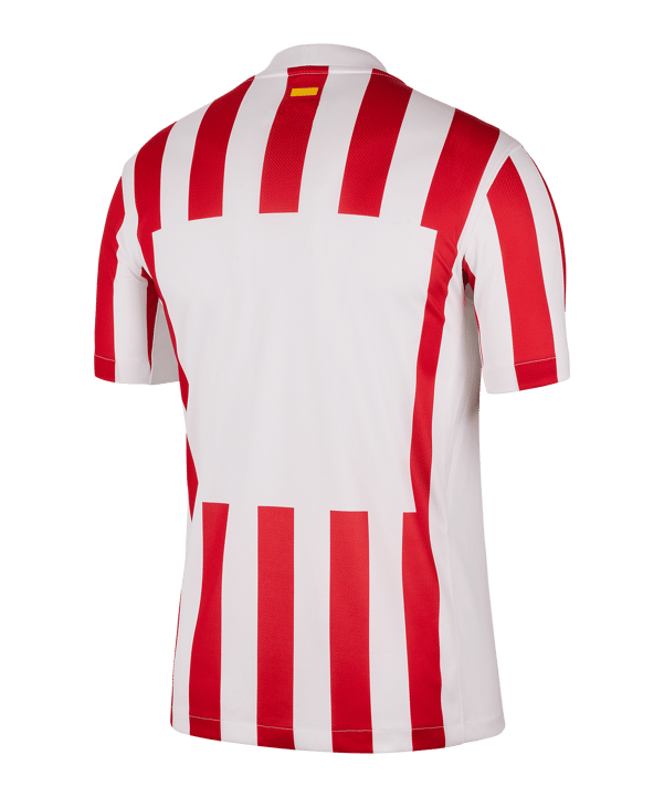 Nike Atletico Madrid Trikot Home 2025/2026 Rot F615 - rot